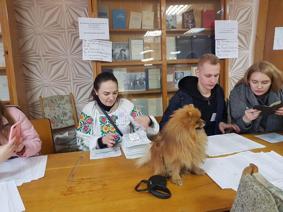 Выборы нового президента: хроника событий