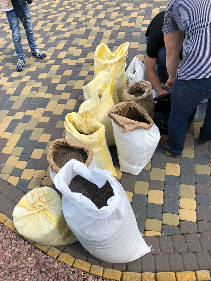 В Мариуполе раскрыли каналы поставок опиумного мака под крышей полицейских