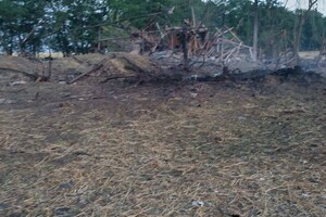 Оккупанты уничтожили 35 тонн зерна в Одесской области: В ОВА считают, что специально