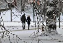 Празднование Дня ВСУ в зоопарке и концерт рождественской музыки: куда пойти в Одессе на этой неделе