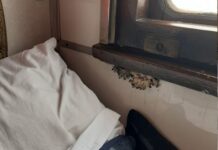 В одном из вагонов поезда Укрзализныци на харьковском направлении растут грибы