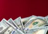Курс валют в Украине 11 февраля 2024: сколько стоит доллар и евро