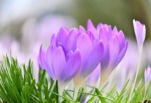 Почти летнее тепло: какая погода будет в Одессе в ближайшие дни