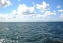 Токсины никуда не делисть: море в Одессе восстановилось, но есть нюанс
