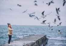 Выставка «Рожденные на Победу» и концерт Степана Гиги: куда пойти в Одессе на следующей неделе