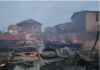 Удар по курорту в Одесской области: экологи подсчитали ущерб для окружающей среды
