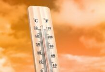 До +39,5 °С: в Одесской области зафиксировали температурный рекорд