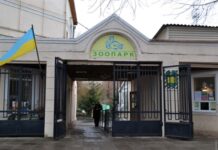 В Одесском зоопарке капитально обновят отопление: работы оценивают почти в 5 миллионов гривен