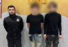 Скандальное видео об изнасиловании кота в Одессе: полицейские установили причастных