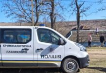 В Одесской области мужчина стрелял из ружья по собаке и щенкам