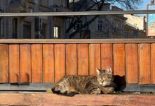 Первые дни апреля: какая погода будет в Одессе в эти выходные
